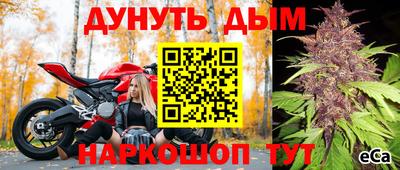 дживик Донской